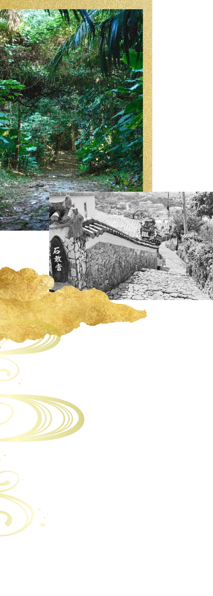 やんばるの森の小道と往時の首里の白黒写真