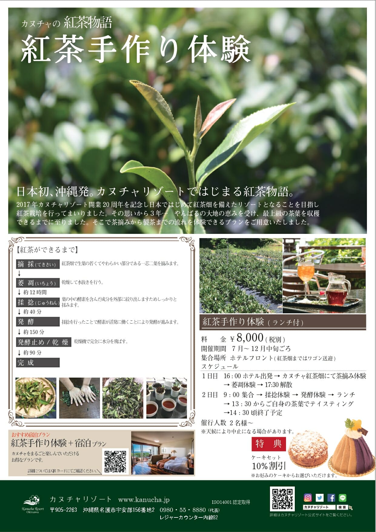 日本初のアクティビティ 紅茶手作り体験 6 26 金 販売開始 公式 カヌチャリゾート