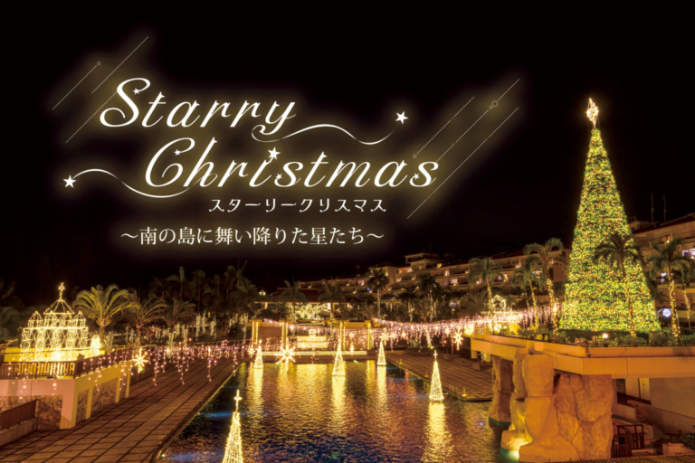 スターリークリスマス