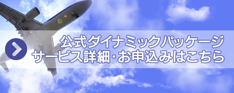 ANAダイナミックパッケージ